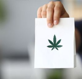 Cannabis leaf on paper bag